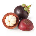 Mangosteen Juice Powder